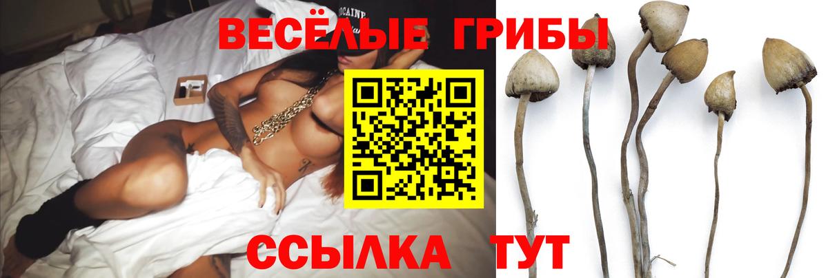 Назрань  Псилоцибиновые грибы Magic Shrooms  Вход с VPN 